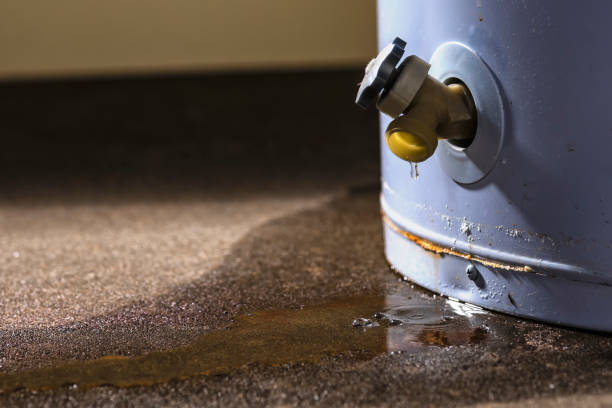 Best Water damage mitigation services  in Benson, AZ