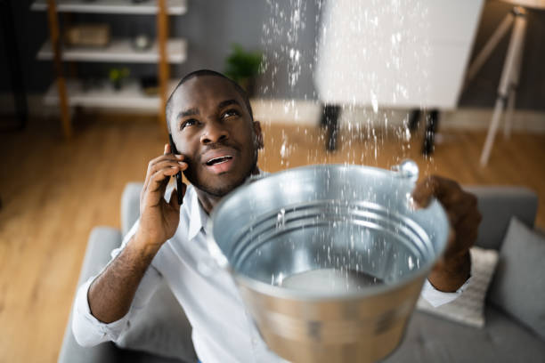 Best Emergency water damage restoration  in Benson, AZ