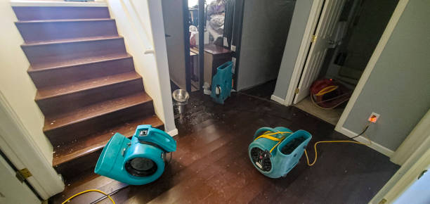 Best Flooded house restoration  in Benson, AZ
