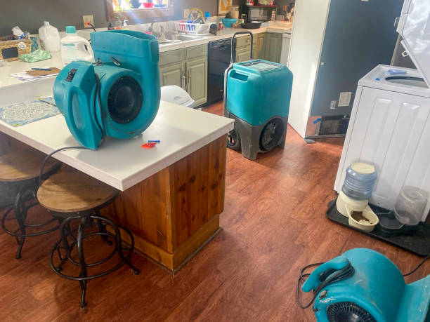 Best Sewage cleanup and water damage restoration  in Benson, AZ