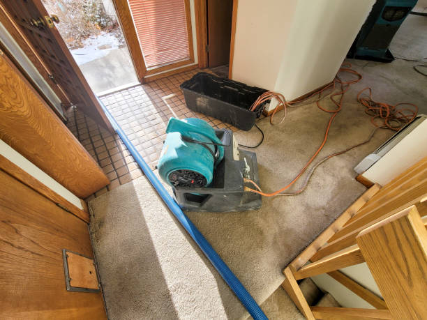 Water damage restoration insurance claims in Benson, AZ