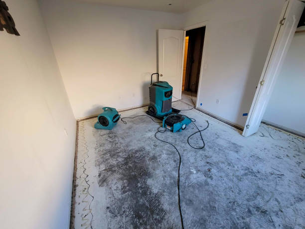 Best Water damage cleanup near me  in Benson, AZ