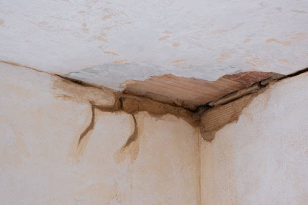  Benson, AZ Water damage restoration Pros