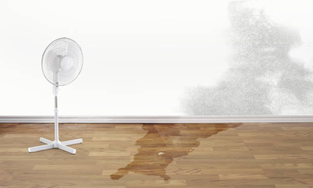 Best Flooded house restoration  in Benson, AZ