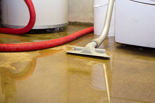 Best Fire Damage Restoration  in Benson, AZ