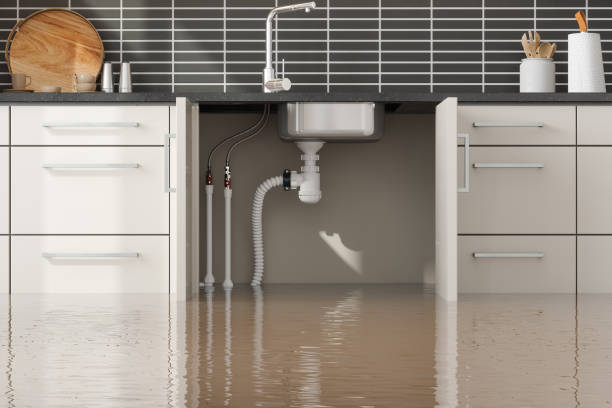 Best Ceiling water damage repair  in Benson, AZ