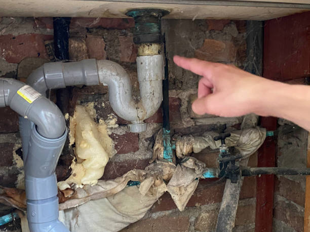 Best Local water damage restoration  in Benson, AZ