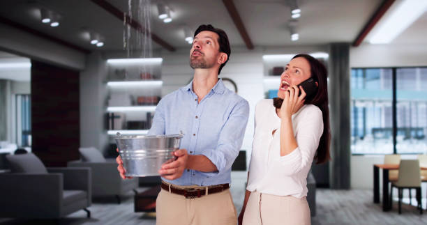 Best Basement water damage restoration  in Benson, AZ