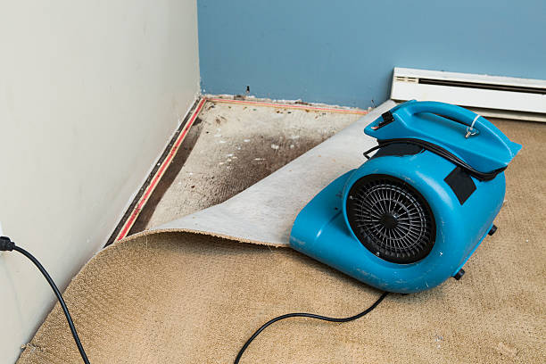 Best Emergency water damage restoration  in Benson, AZ